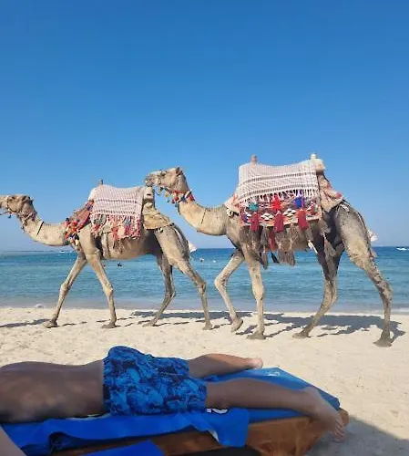Daire Camelgila Royal *